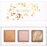 CATRICE PALETTE FACE GLOWY SUMMER OBSESSED C01